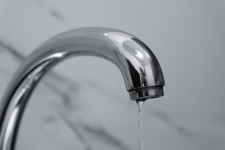 Top-Rated Leak Detection Systems for Houses